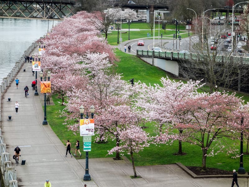 Governor Tom McCall Waterfront Park