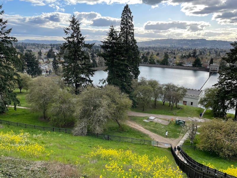 Mount Tabor Park
