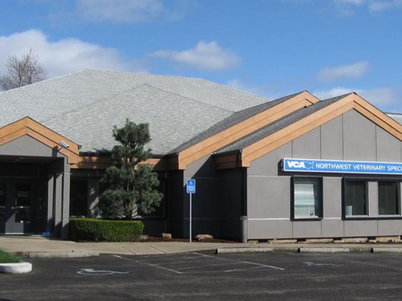 VCA Northwest Veterinary Specialists