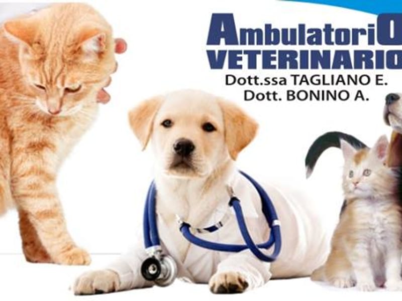 Ambulatorio Veterinario Bonino