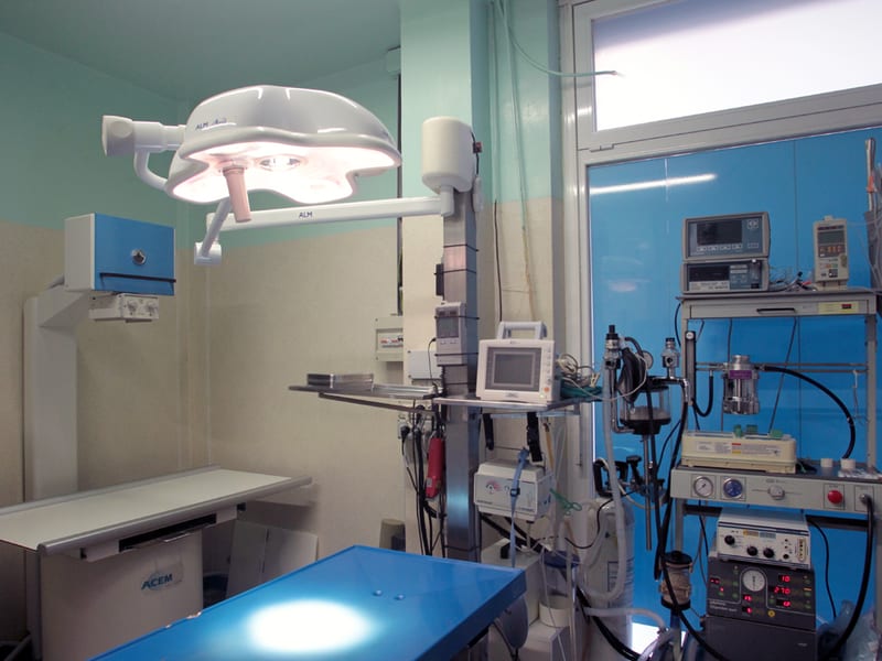 Studio Veterinario Pagella