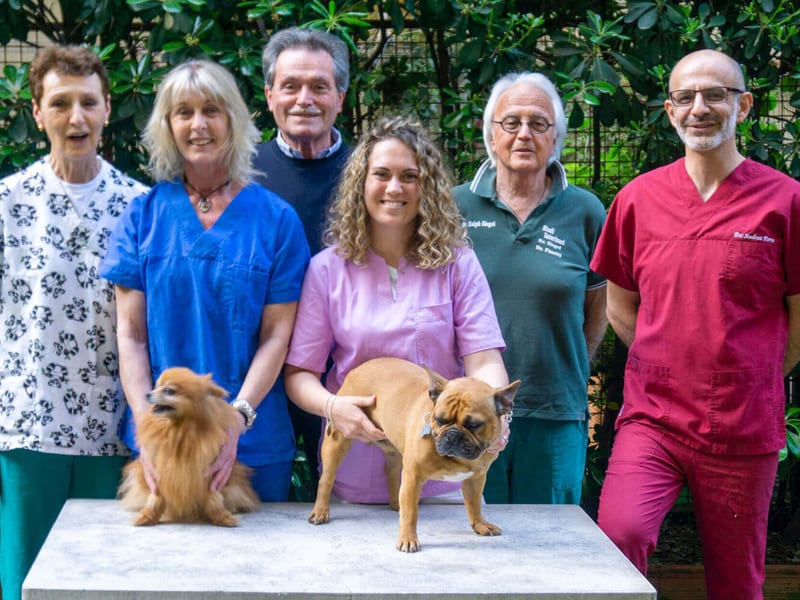 Studi Veterinari Siegel, Finetti, Porro e Mariotto Rocca