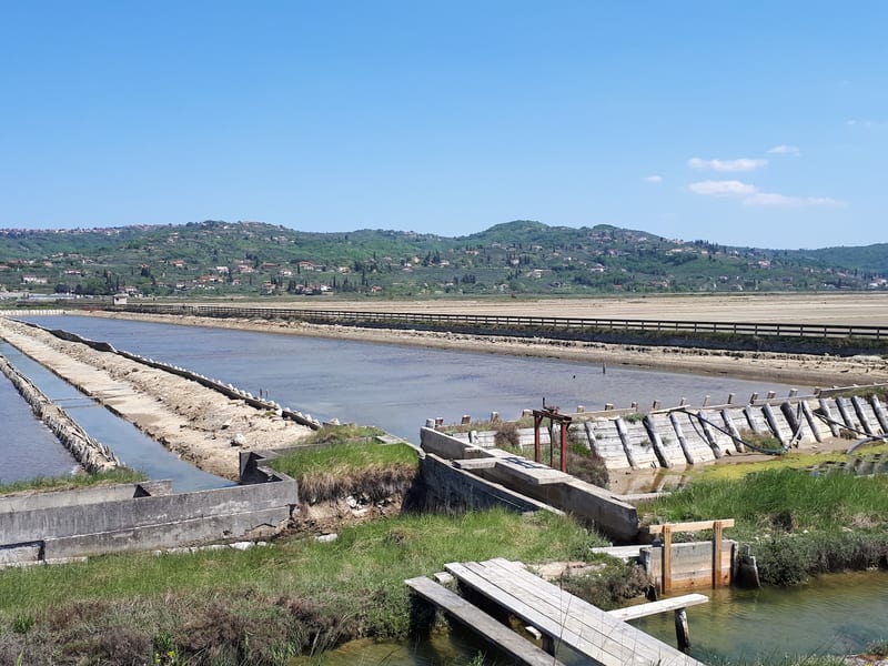 Sečovlje Salina Nature Park