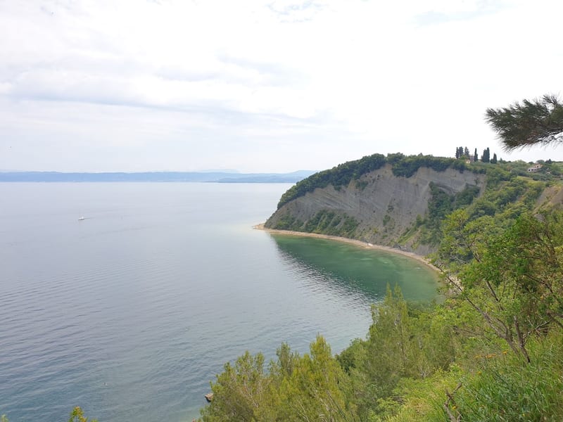 Local Town Bus (Piran to Strunjan)