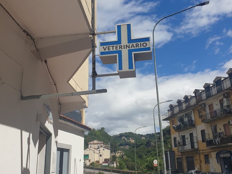 Centro Medico Veterinario Costa d'Amalfi