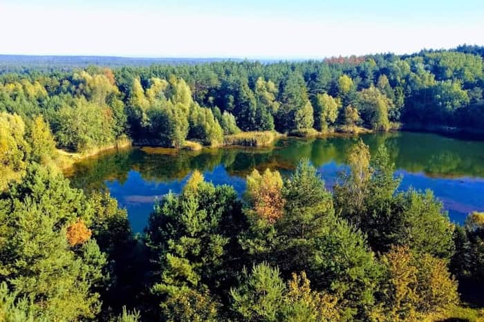 Wielkopolska National Park (Park Narodowy)