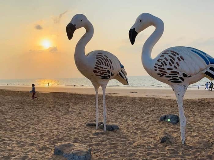 Flamingo Beach