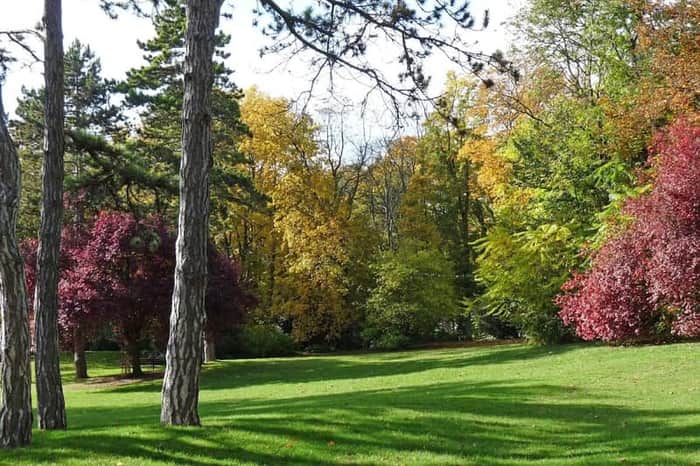 Parc de Champagne