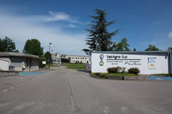 VetAgro Sup – Clinique Vétérinaire Rennes-Sud