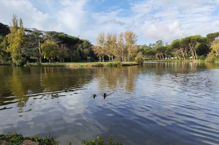 Villa Ada