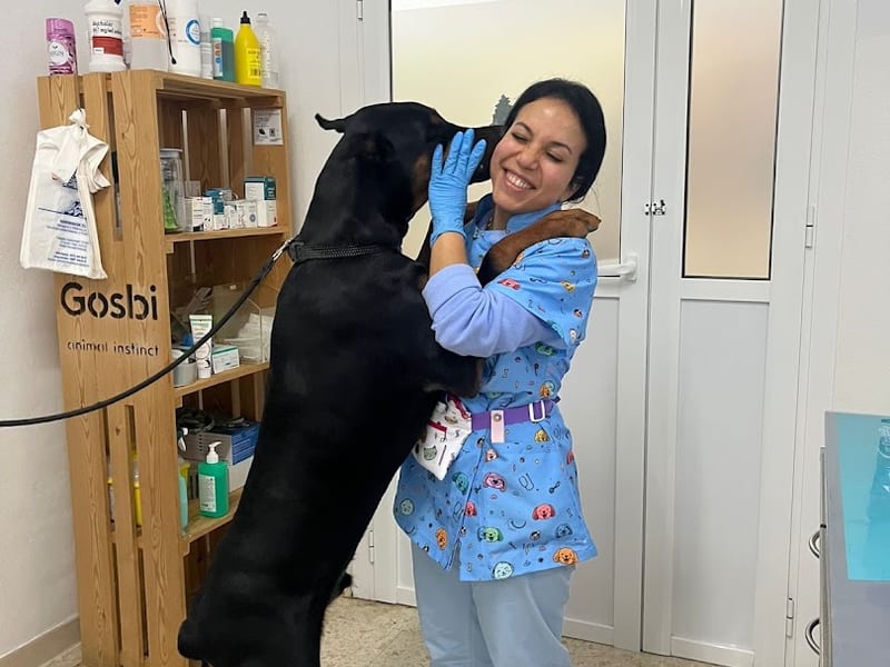 Clínica Veterinaria Vázquez