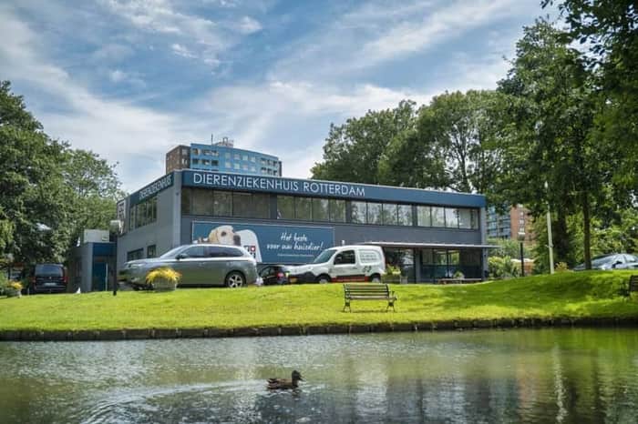 Dierenziekenhuis Rotterdam