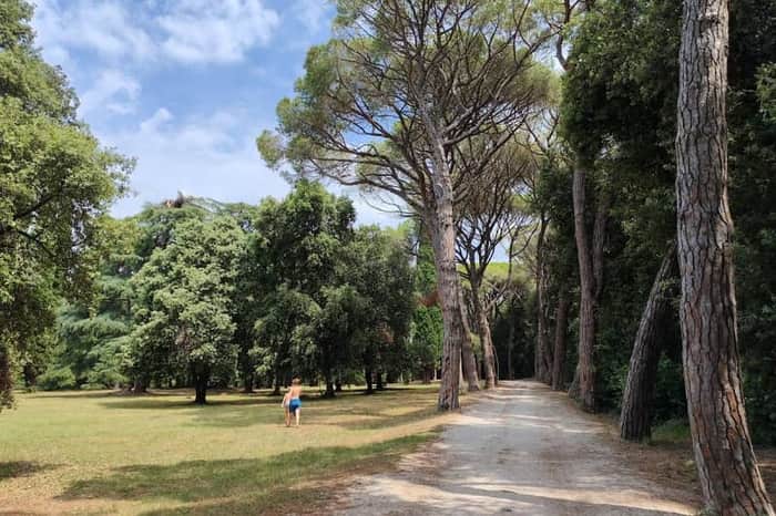Punta Corrente / Šuma Zlatni rt Park Forest