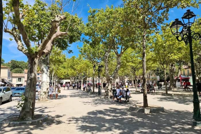 Place des Lices market (Tuesday & Saturday)
