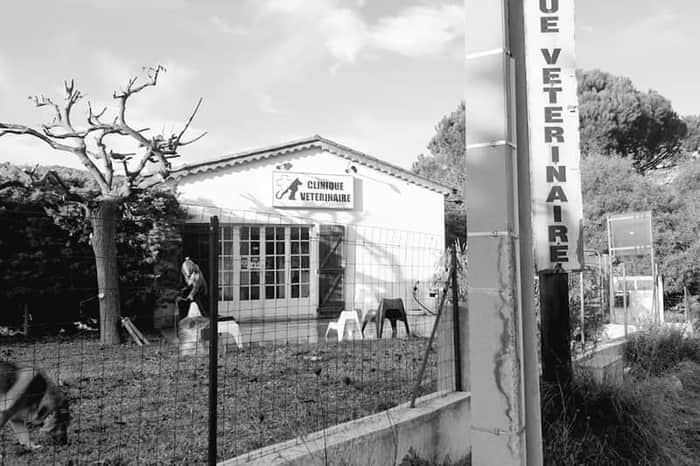 Clinique Vétérinaire des Plages