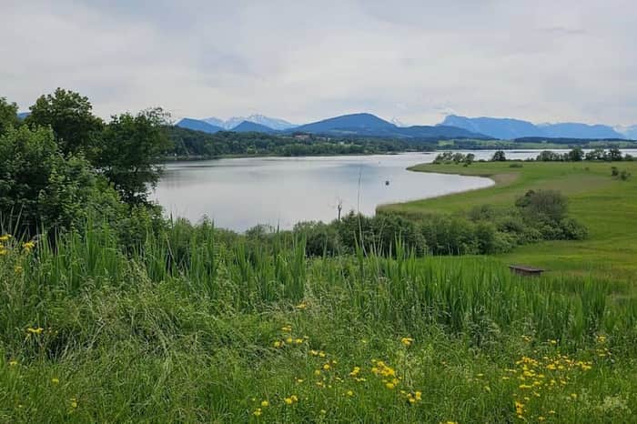 Wallersee (Seekirchen am Wallersee)