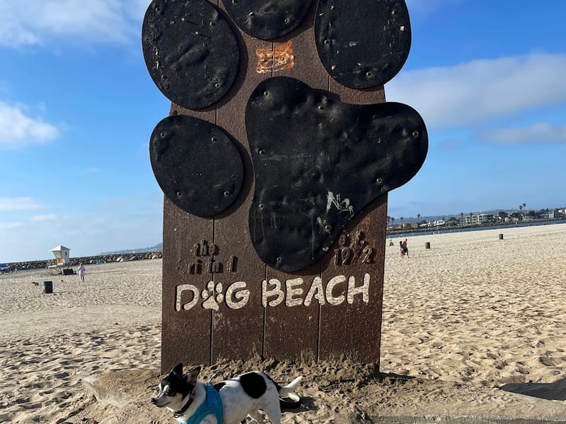 Dog Beach, Ocean Beach