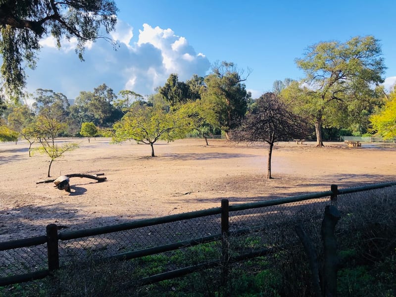 Nate's Point Off-Leash Dog Park