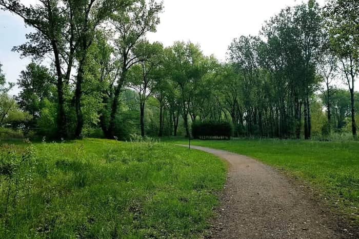 Hundestrand Tulln an der Donau
