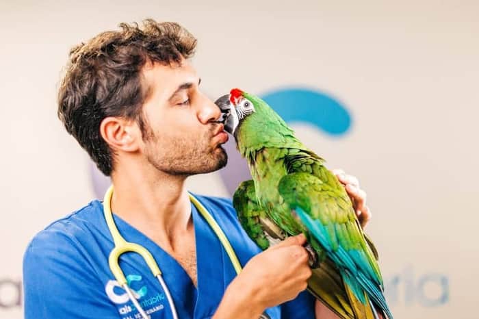 Animals Cantabria, Hospital Veterinario 24h