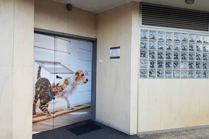 Clínica Veterinaria Sardinero