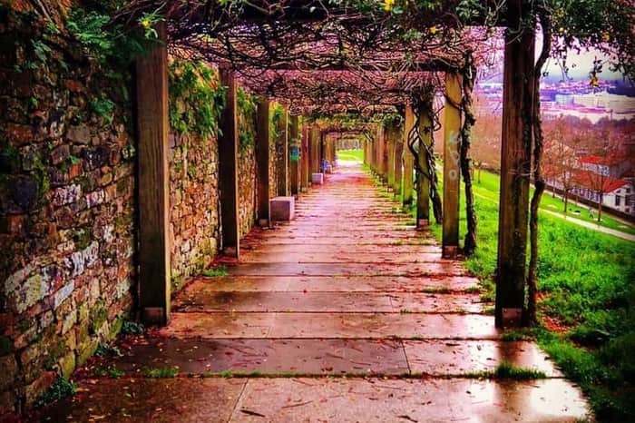 Parque de Belvís