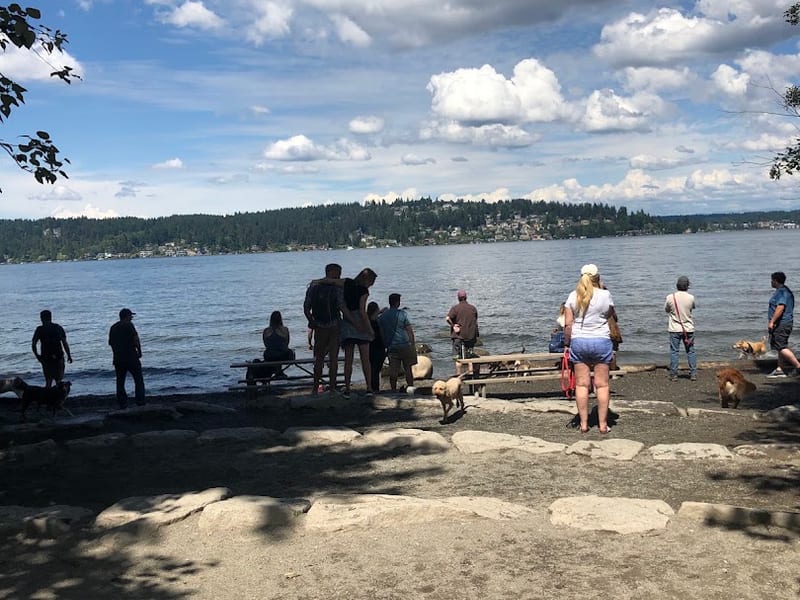 Magnuson Park Off-Leash Area