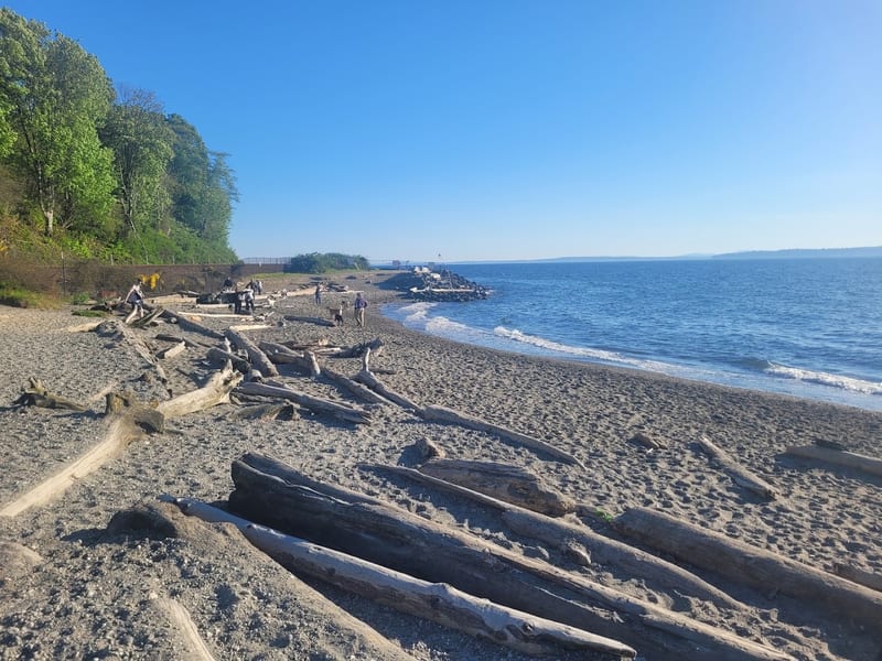 Marina Beach Park Off-Leash Area, Edmonds