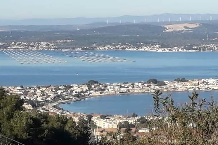 Étang de Thau shore at Les Eaux Blanches
