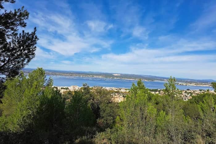 Mont Saint-Clair and Bois des Pierres Blanches