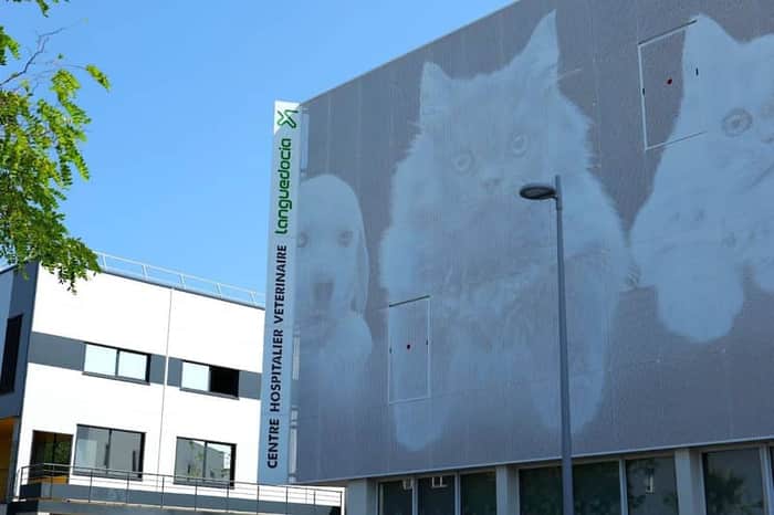 CHV Languedocia (Montpellier)