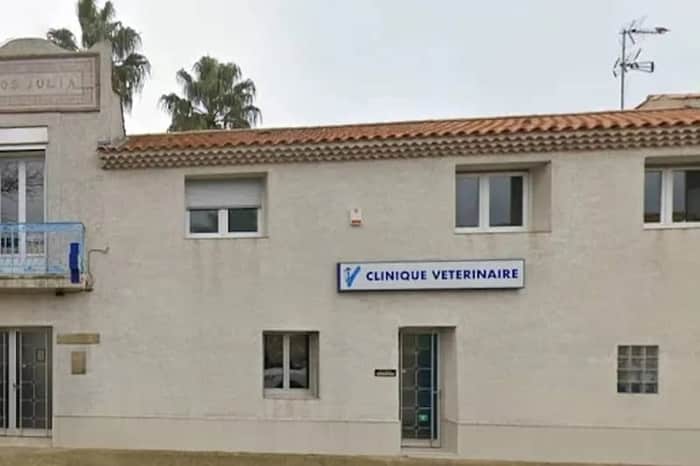 Clinique Vétérinaire de la Corniche