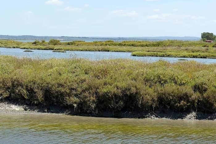 Marina de Setúbal estuary boardwalk