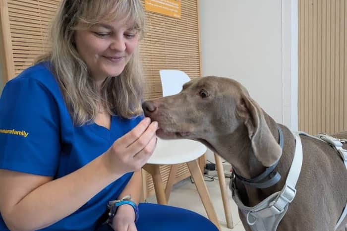 Hospital Veterinario Sevilla Sur