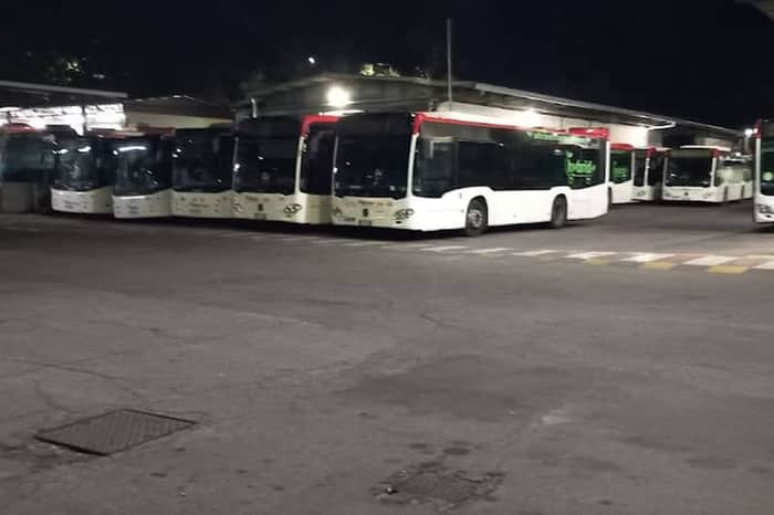 Tiemme urban bus network
