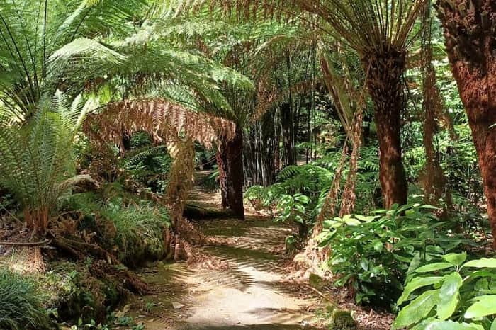 Parque da Pena (outdoor grounds)