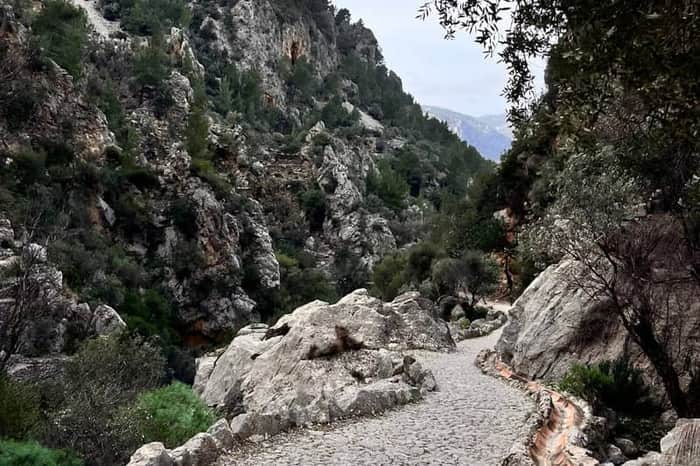 Camí de Sóller a Biniaraix (Barranc)