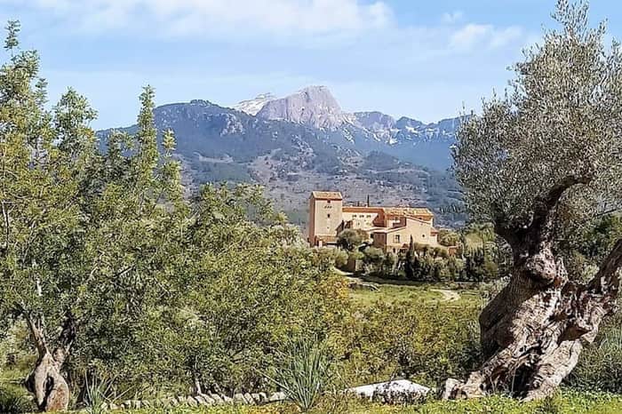 GR-221 Ruta de Pedra en Sec (Sóller stretch)