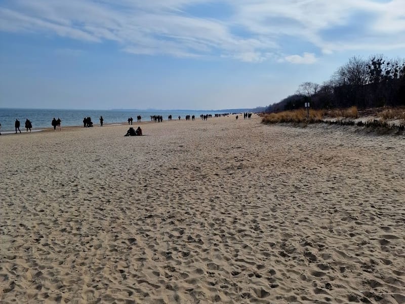Plaża dla psów Sopot (wejścia 43-45)