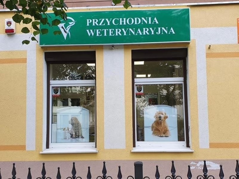 Przychodnia Weterynaryjna Mateusz Adamek