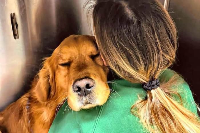 Ospedale Veterinario CMV Naples