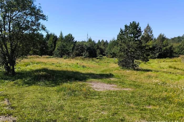 Sørmarka Forest