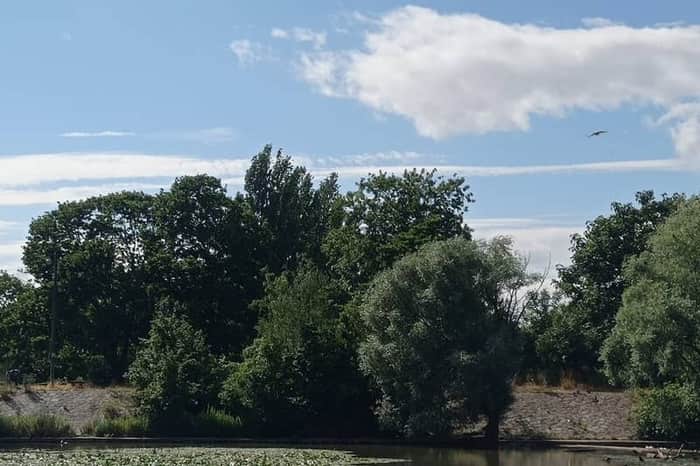Berges de l'Ill en Petite France