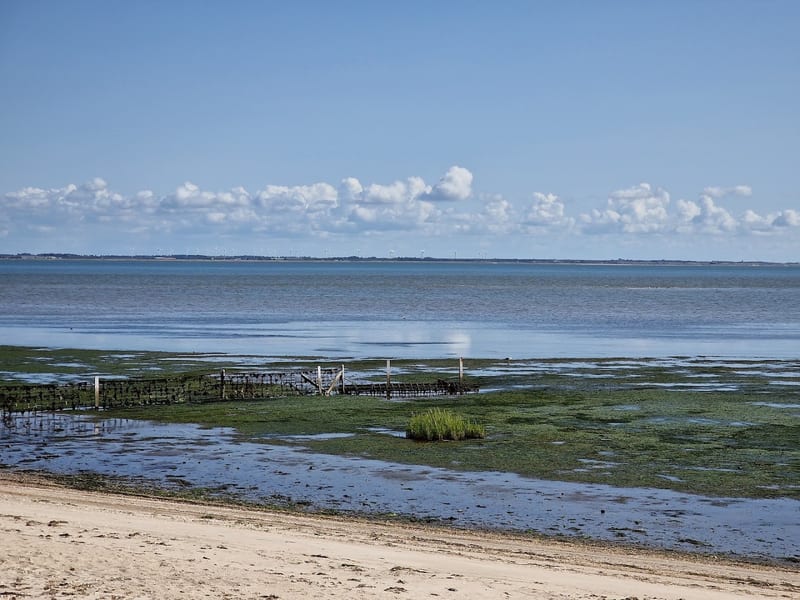 Wattenmeer (Wadden Sea National Park)