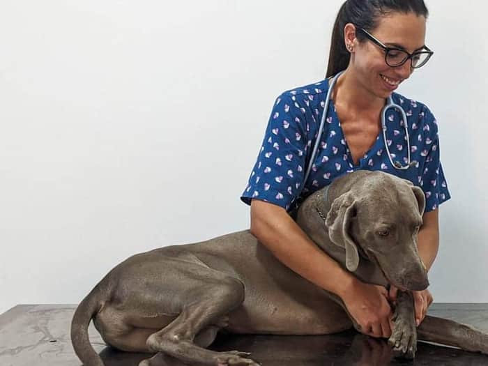 Ambulatorio Veterinario Citta` di Taormina