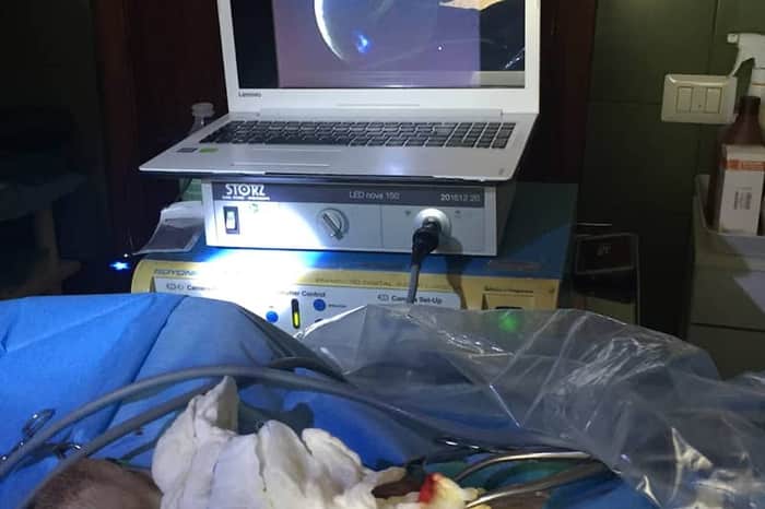 Ambulatorio Veterinario Dott. La Manna