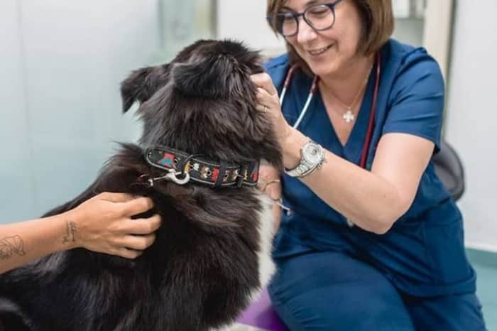 Clínica Veterinaria La Huella (UNAVETS)