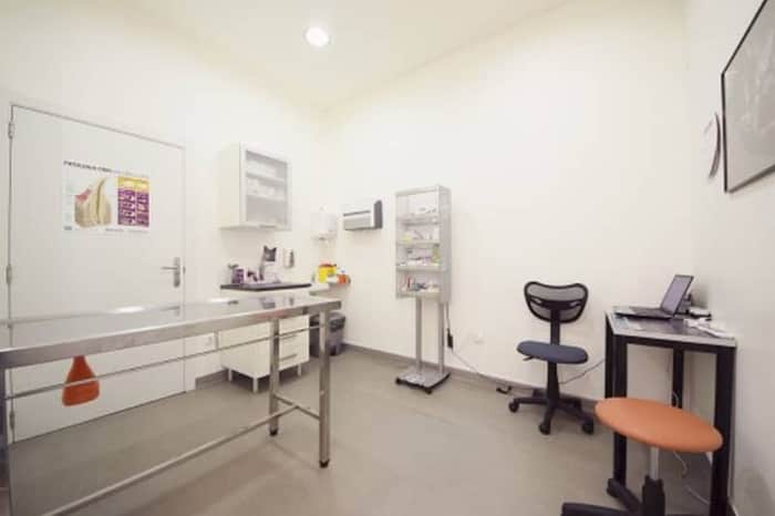 Tavivet Clínica Veterinária
