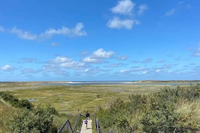 De Slufter salt marsh