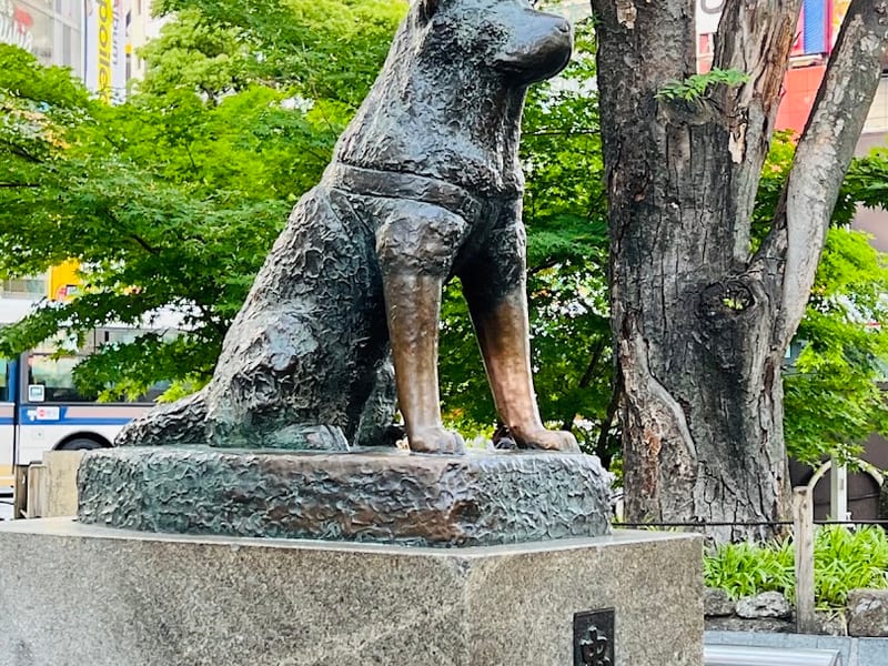 Shibuya & the Hachiko Statue